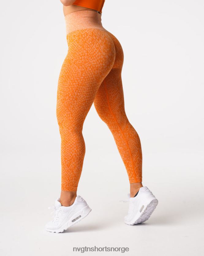 064HD6684 brent oransje Fitness NVGTN kvinner sømløse leggings fra slangeskinn