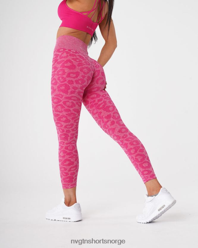 064HD6689 fuchsia Fitness NVGTN kvinner leopard sømløse leggings